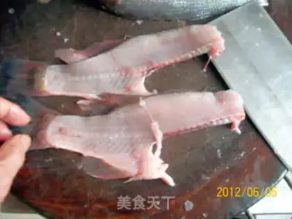 Make Anatomy and application of perch step 11