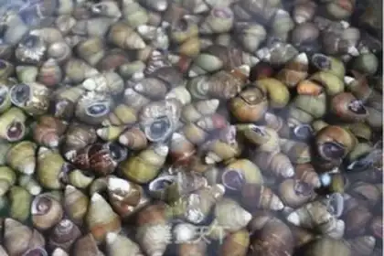Make Shuming finger spicy snails step 0