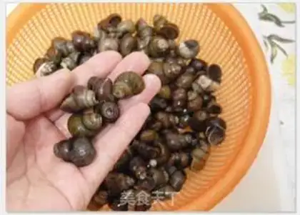 Make Shuming finger spicy snails step 1