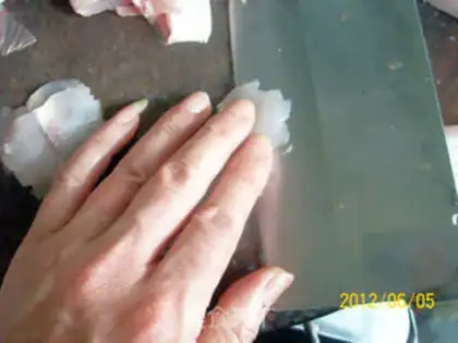 Make Anatomy and application of perch step 19