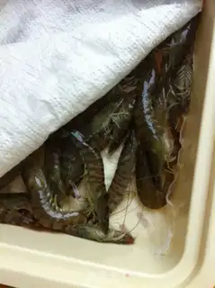 Make Baked shrimp in snow step 2