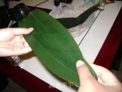 Make zongzi step 1
