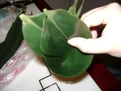 Make zongzi step 2