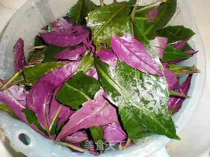 Make Cold mixed purple-backed anemone step 0