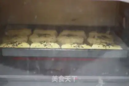 Make taosu step 10