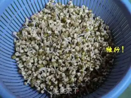 Make Spontaneous mung bean sprouts step 6