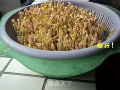 Make Spontaneous mung bean sprouts step 8