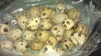 Make Curried quail eggs step 0
