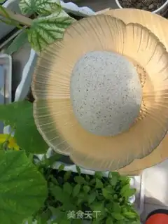 Make Three black bean dregs steamed buns step 2