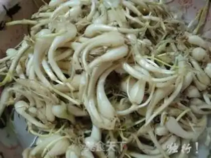 Make pickled head step 0