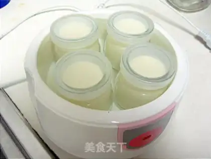 Make yogurt step 5