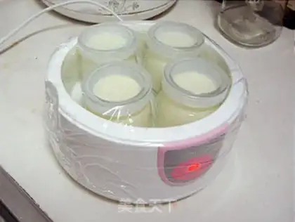 Make yogurt step 6
