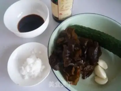 Make Old vinegar fungus step 0