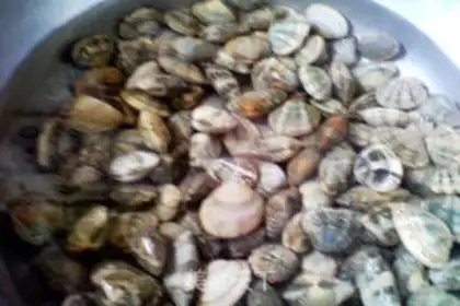 Make Corbicula fried with onion step 0