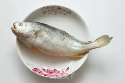 Make Squirt fish step 0