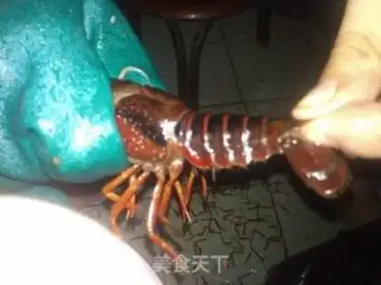 Make Five-seven-gauge shrimp step 0