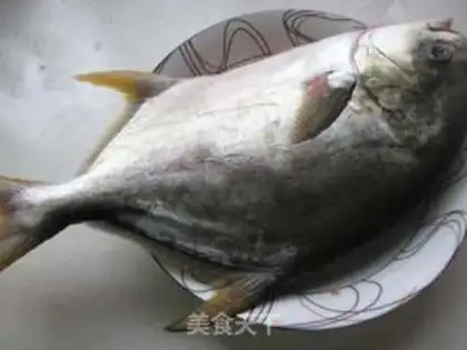 Make Squid step 0