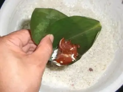 Make Pork step 5
