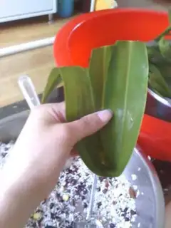 Make Brown step 1
