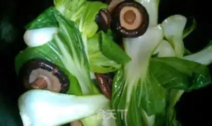 Make Mushroom oil step 3