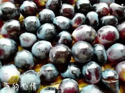 Make Homemade wine step 1