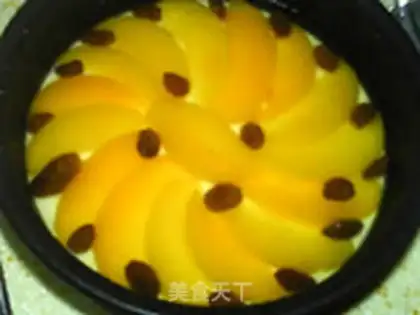 Make Zephyr cheese step 21