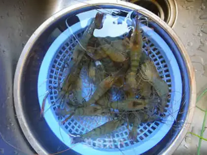 Make Silicon tomato shrimp step 0
