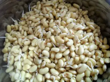 Make Cold bean sprouts step 4