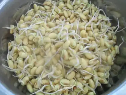 Make Cold bean sprouts step 5