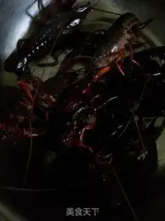 Make Spicy lobster step 0