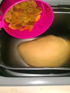 Make Coconut raisin bread step 9