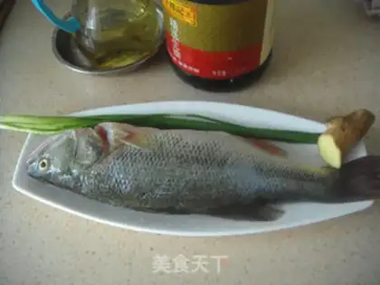 Make Steamfish step 0