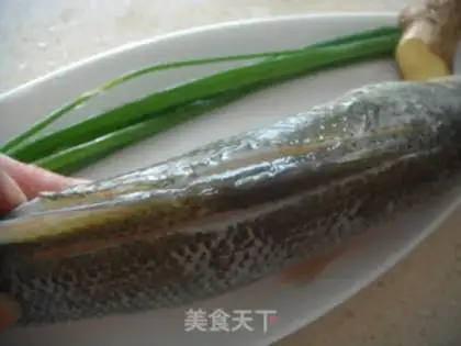Make Steamfish step 1