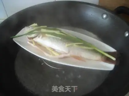 Make Steamfish step 3