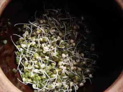 Make A casserole with green bean buds step 4