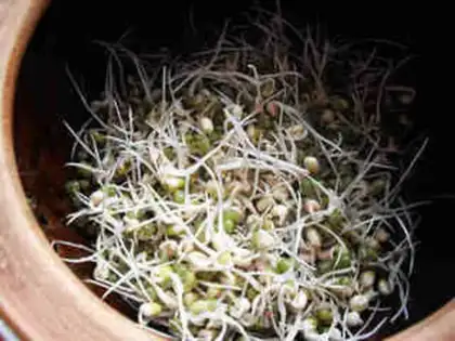Make A casserole with green bean buds step 5