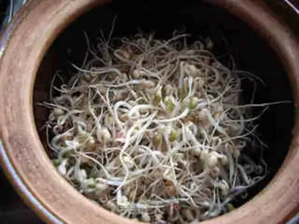 Make A casserole with green bean buds step 6