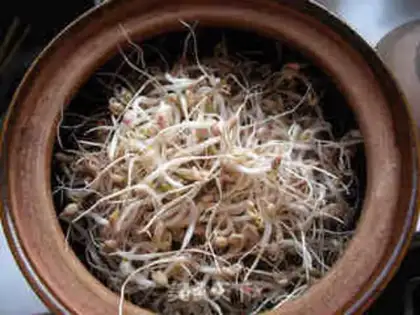 Make A casserole with green bean buds step 7