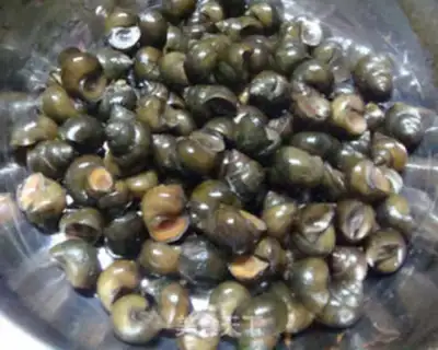 Make Spicy snail step 1