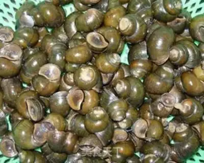 Make Spicy snail step 2