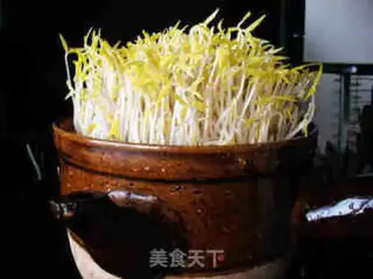 Make A casserole with green bean buds step 10