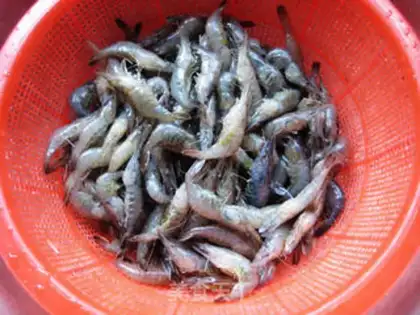 Make Salt shrimp step 0