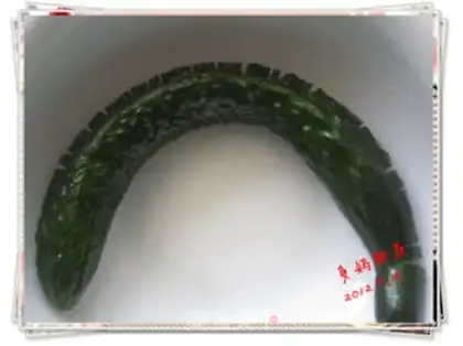 Make The cucumber step 3