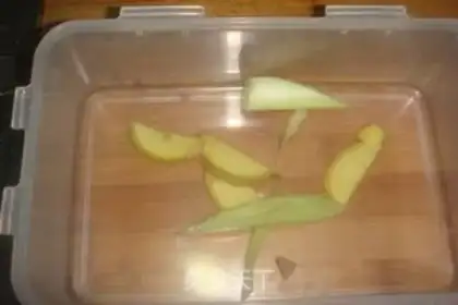 Make Fork step 3