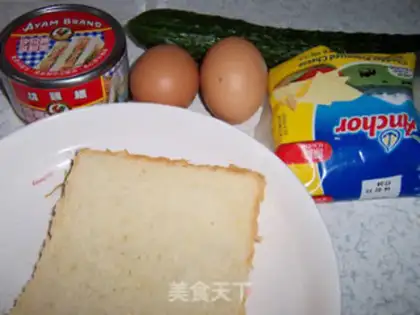 Make Tuna sandwich step 0