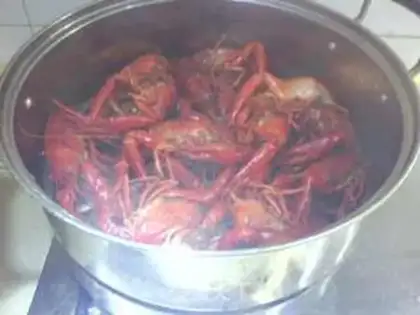 Make Vacuate the lobster step 9