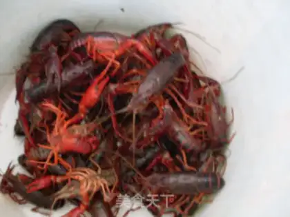 Make Spicy lobster step 0