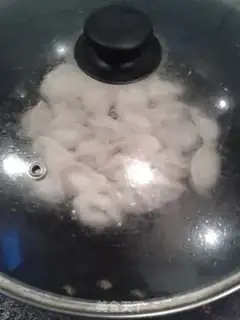 Make Fast-fried dumplings step 3