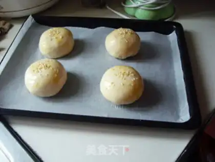 Make Onion sulfur step 20
