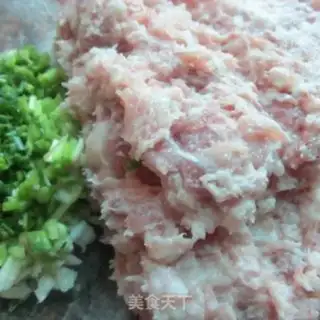 Make Vegetable meat dumplings step 5